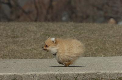 Mar30_06_441.JPG