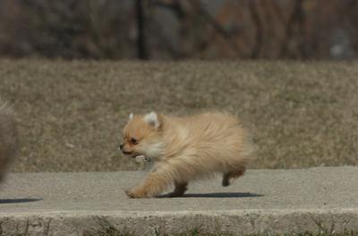 Mar30_06_442.JPG