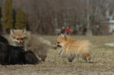 Mar30_06_459.JPG