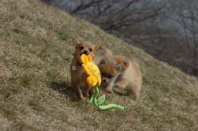Mar30_06_474.JPG