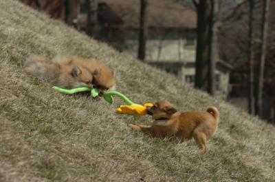 Mar30_06_480.JPG