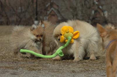 Mar30_06_497.JPG