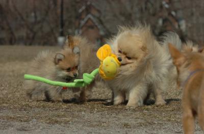 Mar30_06_498.JPG