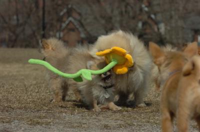 Mar30_06_501.JPG