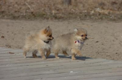 Apr2_06_276.JPG