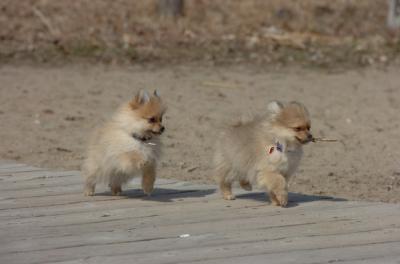 Apr2_06_277.JPG