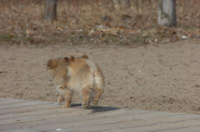 Apr2_06_278.JPG