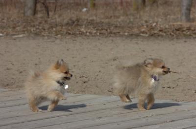 Apr2_06_283.JPG