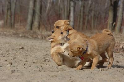 Apr2_06_310.JPG