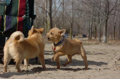 Apr2_06_333.JPG