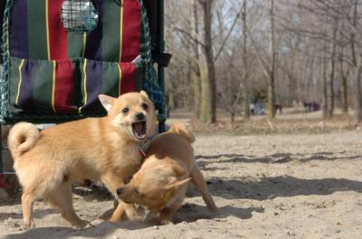 Apr2_06_334.JPG