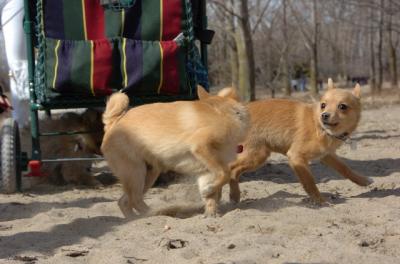 Apr2_06_337.JPG
