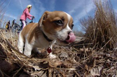 Apr2_06_217.JPG