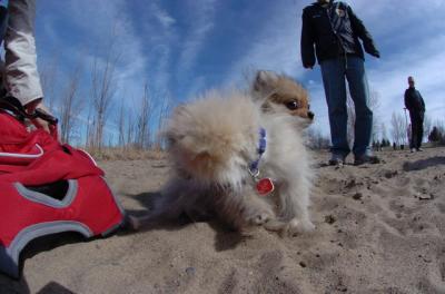 Apr2_06_228.JPG