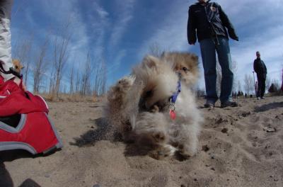 Apr2_06_230.JPG