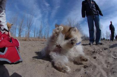 Apr2_06_232.JPG