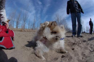 Apr2_06_233.JPG