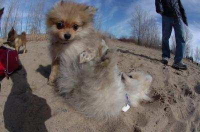 Apr2_06_239.JPG