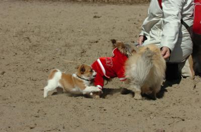 Apr2_06_042.JPG
