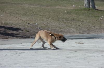 Apr2_06_123.JPG
