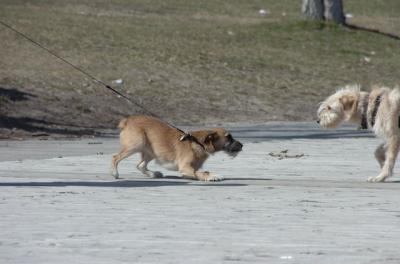 Apr2_06_125.JPG