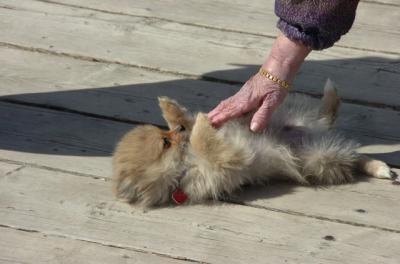 Apr2_06_134.JPG
