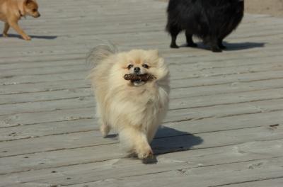 Apr2_06_136.JPG