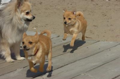 Apr2_06_148.JPG