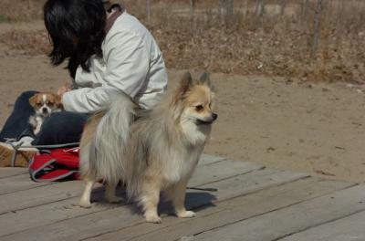 Apr2_06_150.JPG