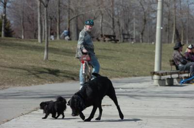 Apr2_06_156.JPG