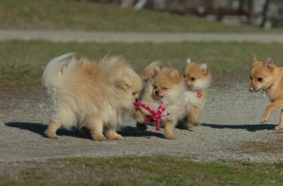 Apr8_06_343.JPG