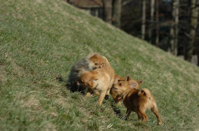 Apr8_06_350.JPG