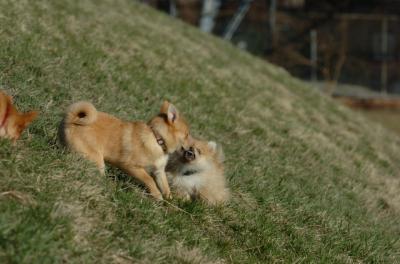 Apr8_06_358.JPG