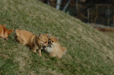 Apr8_06_359.JPG