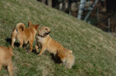 Apr8_06_361.JPG