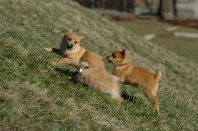 Apr8_06_364.JPG