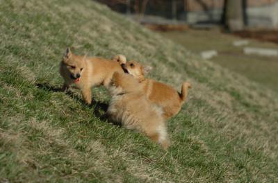 Apr8_06_365.JPG