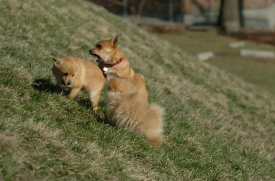 Apr8_06_366.JPG