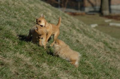 Apr8_06_367.JPG