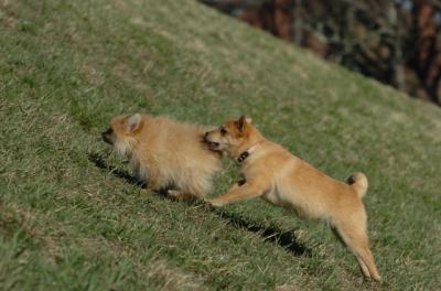 Apr8_06_376.JPG