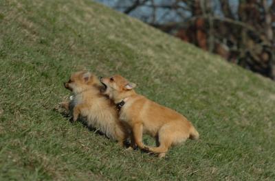 Apr8_06_377.JPG