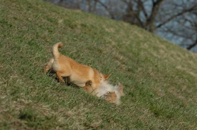Apr8_06_380.JPG