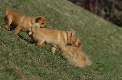 Apr8_06_382.JPG