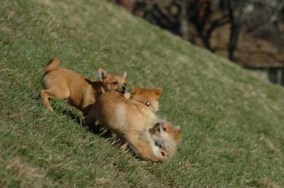 Apr8_06_386.JPG