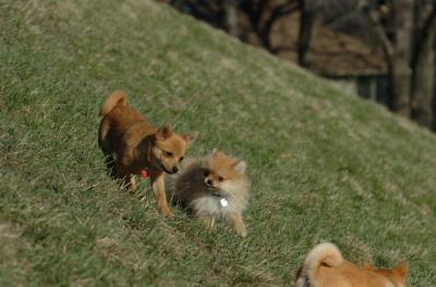 Apr8_06_387.JPG