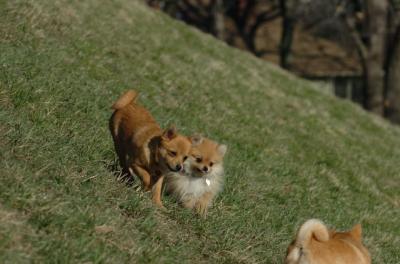 Apr8_06_388.JPG