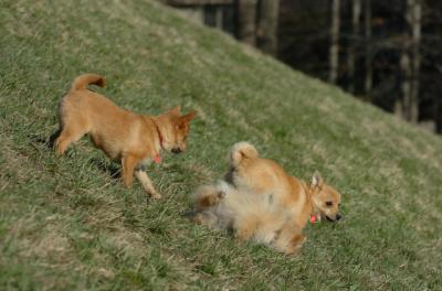 Apr8_06_390.JPG
