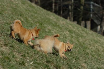 Apr8_06_392.JPG