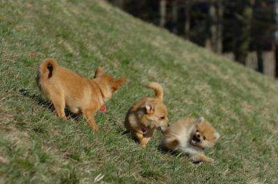Apr8_06_393.JPG