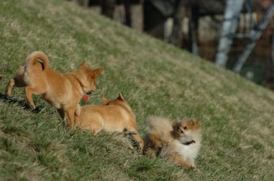 Apr8_06_395.JPG